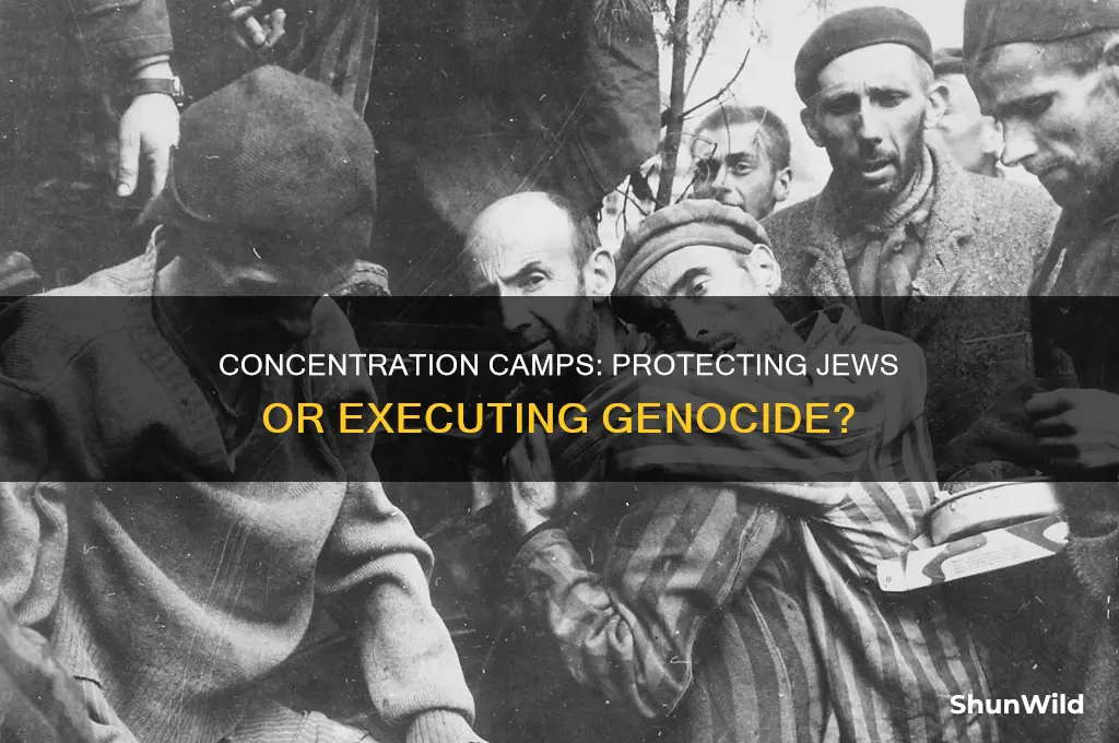 were the concentration camps supposed to protect the jews