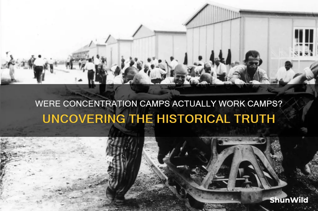 were the concentration camps work camps