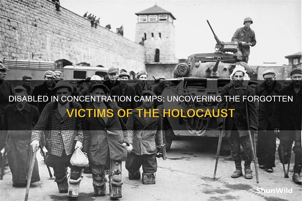 were the disabled also sent into concentration camps