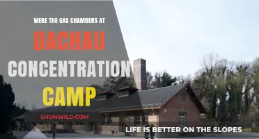 Dachau Concentration Camp: The Truth About Gas Chambers Revealed