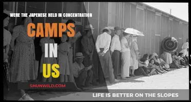 Japanese Americans in US Concentration Camps: A Dark History