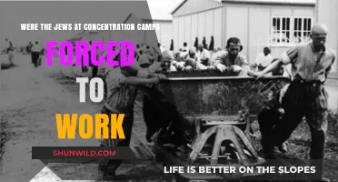 Forced Labor in Concentration Camps: The Jewish Experience