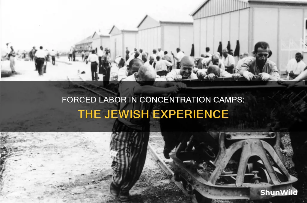 were the jews at concentration camps forced to work