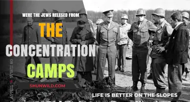 Liberation of Jews from Concentration Camps: Historical Facts and Insights