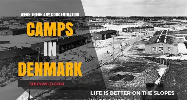 Denmark's Role and the Absence of Concentration Camps During WWII