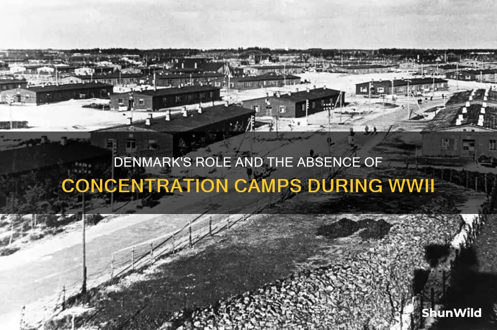 were there any concentration camps in denmark
