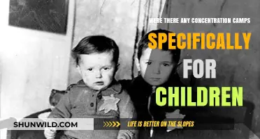 Childhood Stolen: The Dark Reality of Children's Concentration Camps