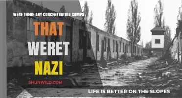 Beyond Nazi Camps: Exploring Other Concentration Camp Histories
