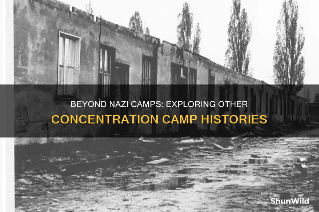 were there any concentration camps that weret nazi