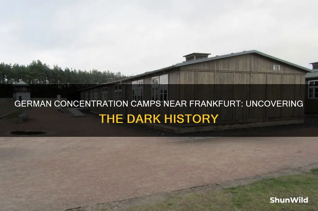 were there any german concentration camps near frankfurt