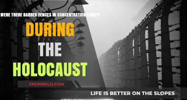 Barbed Fences in Concentration Camps: A Historical Examination of the Holocaust