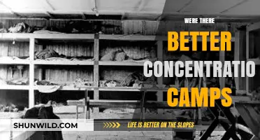 Exploring the Myth of 'Better' Concentration Camps: A Historical Analysis