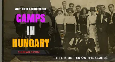 Hungary's Dark History: Uncovering the Truth About Concentration Camps