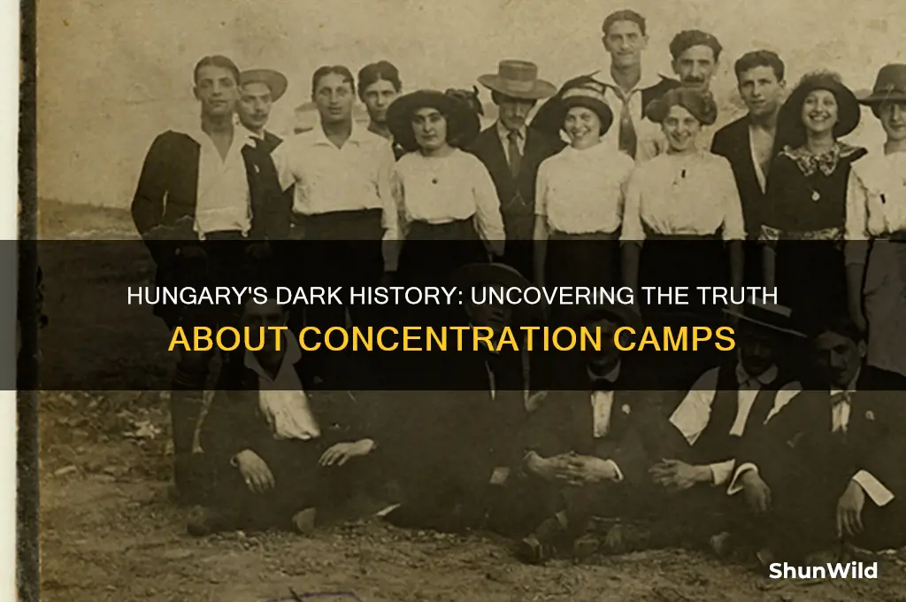 were there concentration camps in hungary