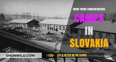 Slovakia's Dark History: Uncovering the Truth About Concentration Camps