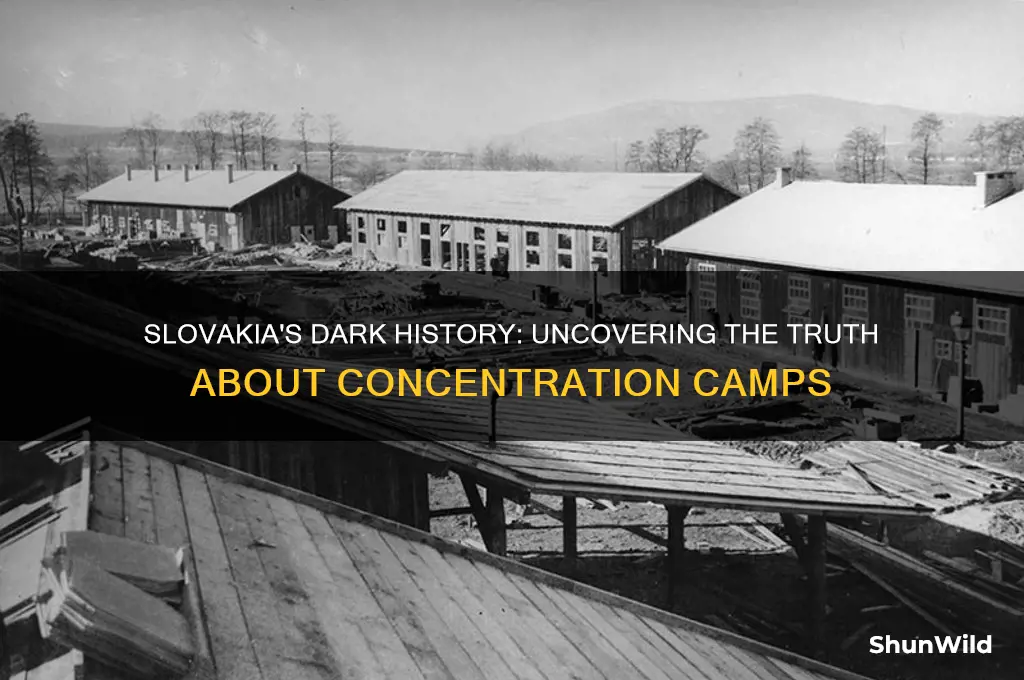 were there concentration camps in slovakia