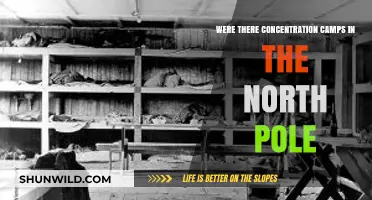 Unveiling the Myth: Concentration Camps at the North Pole?