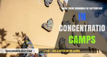 Butterfly Art in Concentration Camps: A Symbol of Hope?