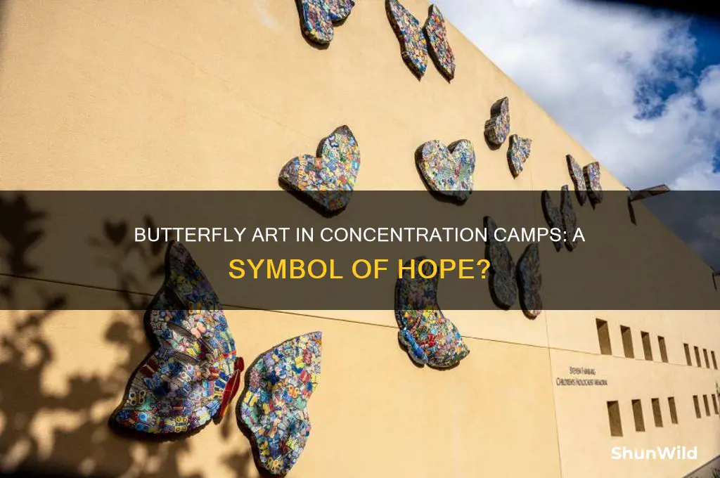 were there drawings of butterflies in concentration camps