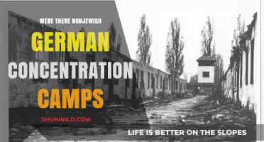 Non-Jewish Germans in Concentration Camps: Uncovering a Hidden History