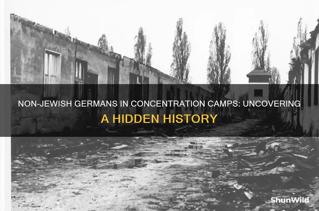 were there nonjewish german concentration camps