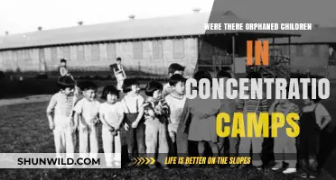 Orphaned Children in Concentration Camps: A Hidden Tragedy of the Holocaust
