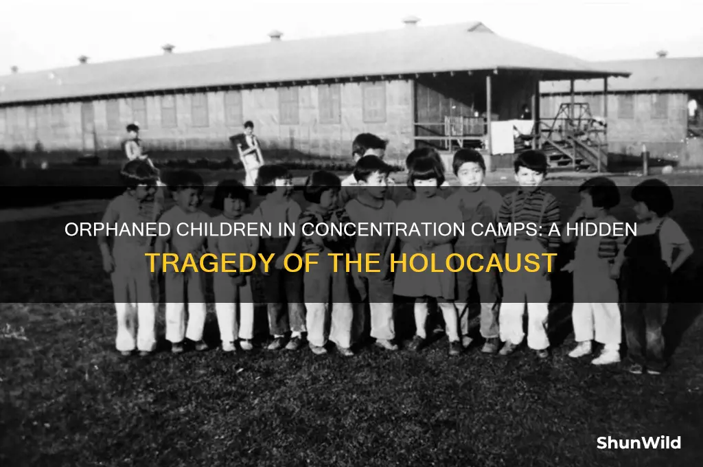 were there orphaned children in concentration camps