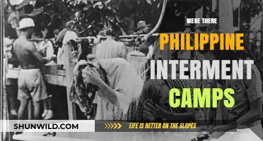 Uncovering the Hidden History of Philippine Internment Camps