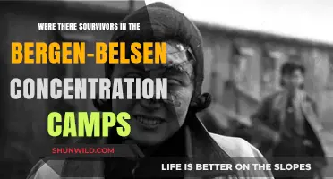 Bergen-Belsen Concentration Camp: Uncovering the Truth About Survivors