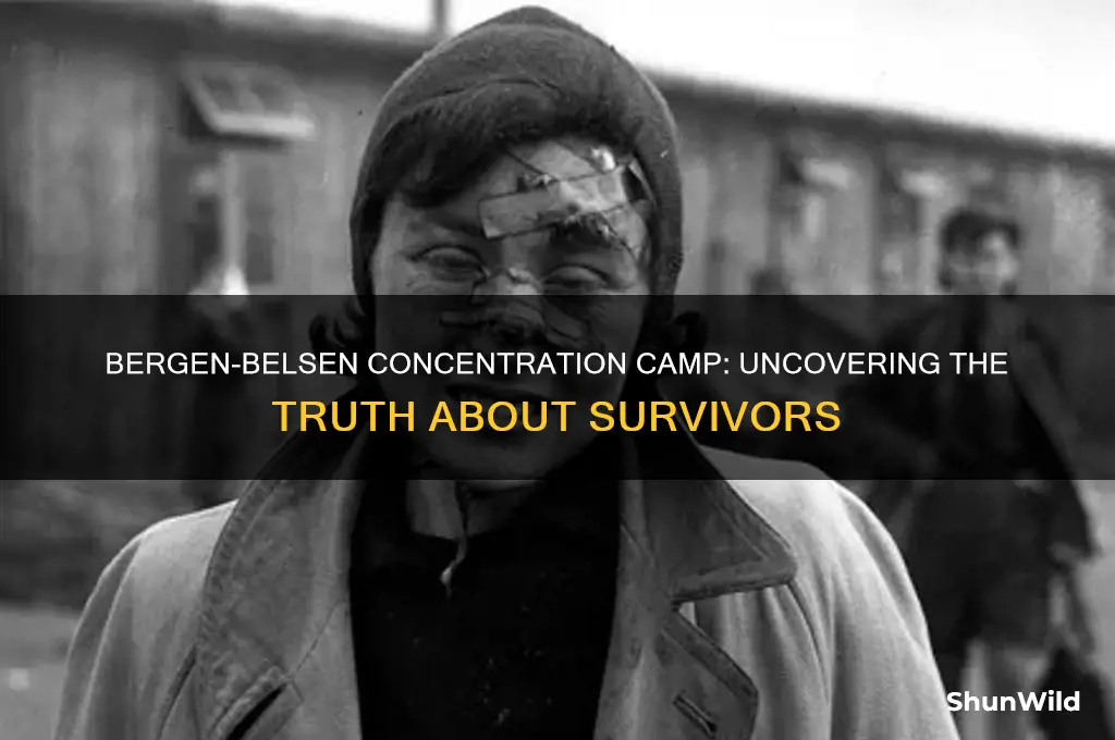 were there sourvivors in the bergen-belsen concentration camps