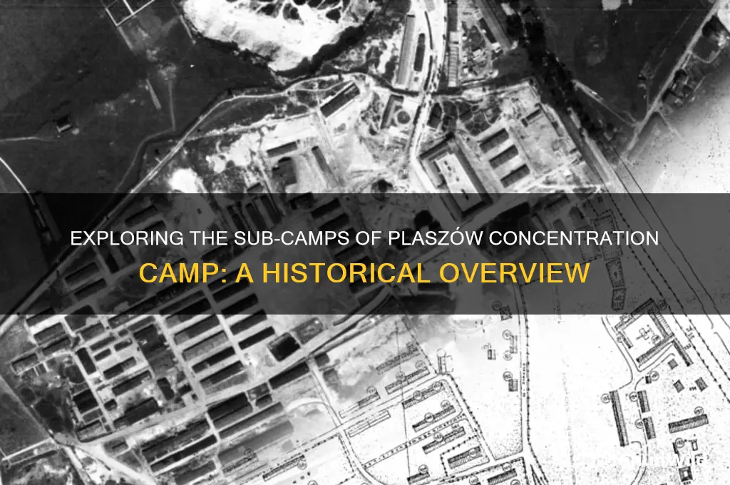 were there sub camps in plasow concentration camp