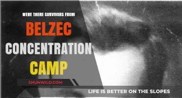 Survivors of Belzec: Uncovering Stories from the Concentration Camp