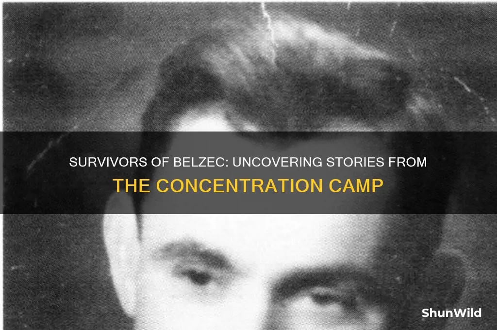were there survivors from belzec concentration camp