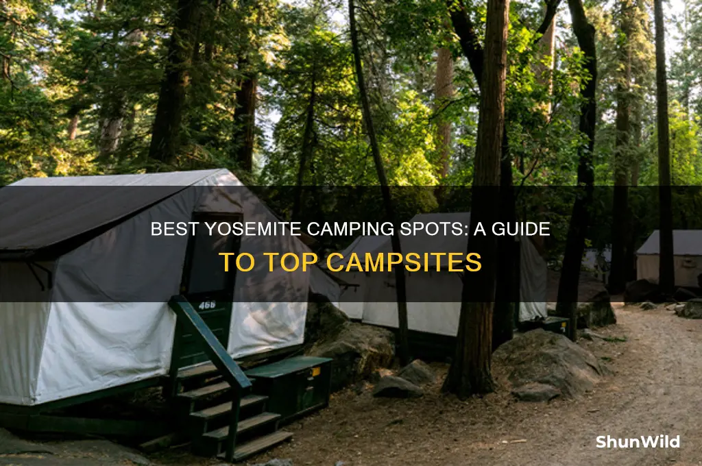 were to camp at yosemite