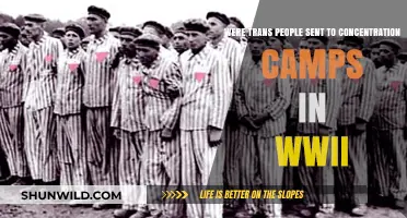 Trans People in WWII: Forgotten Victims of Concentration Camps?