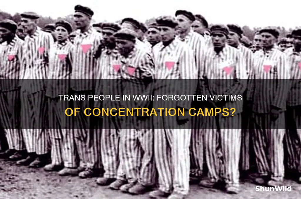 were trans people sent to concentration camps in wwii