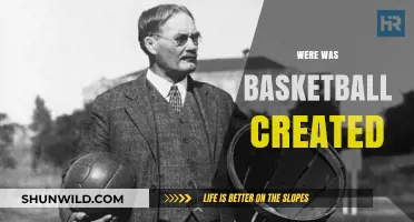 The Birthplace of Basketball: Where it All Began