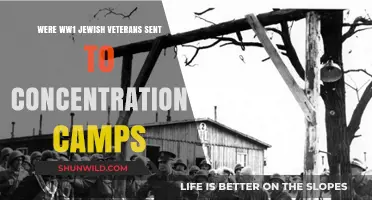 Jewish WW1 Veterans: Betrayed and Imprisoned in Concentration Camps?