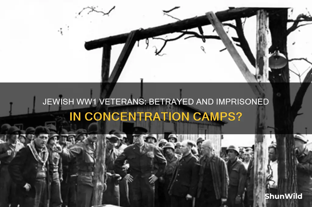 were ww1 jewish veterans sent to concentration camps