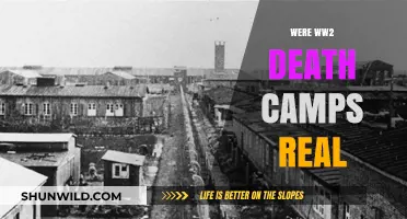 Unveiling the Horrific Truth: Were WWII Death Camps Real?