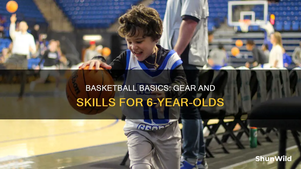 what a 6 year needs that likes basketball