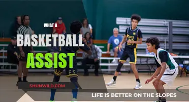 The Art of Assists: Basketball's Unsung Heroes