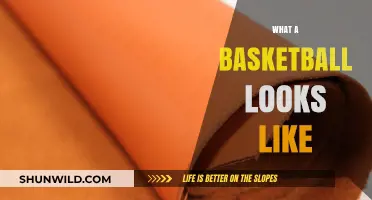 The Evolution of Basketball's Look