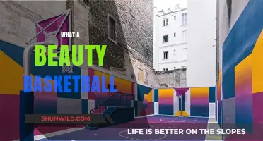 The Beauty of Basketball: Art in Motion