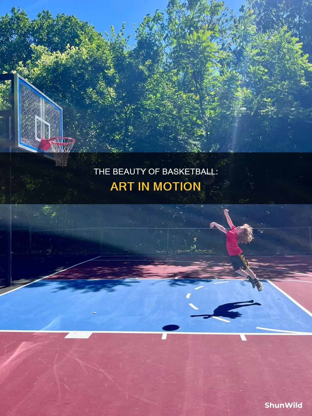 what a beauty basketball