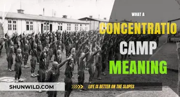 Understanding Concentration Camps: Definition, History, and Impact Explained