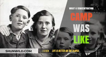 Inside the Horrors: A Survivor's Account of Concentration Camp Life