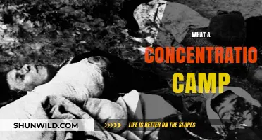 Understanding the Horrors of Concentration Camps: A Historical Overview