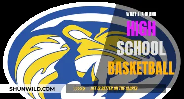 Bland High School Basketball: A Lackluster Performance Review