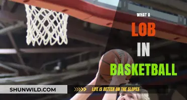 Understanding the Lob in Basketball